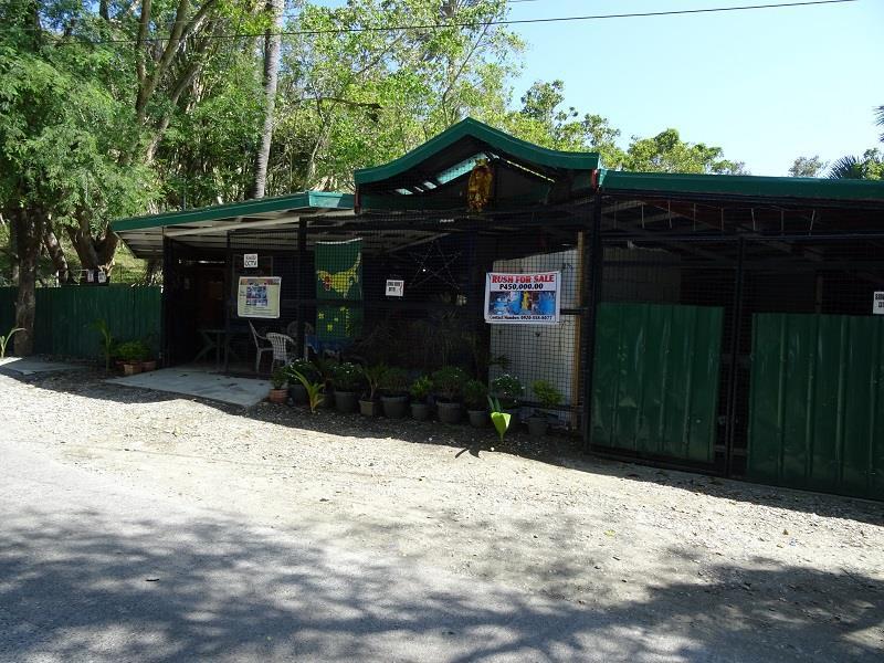 Happy Buddha Inn Puerto Galera Ngoại thất bức ảnh